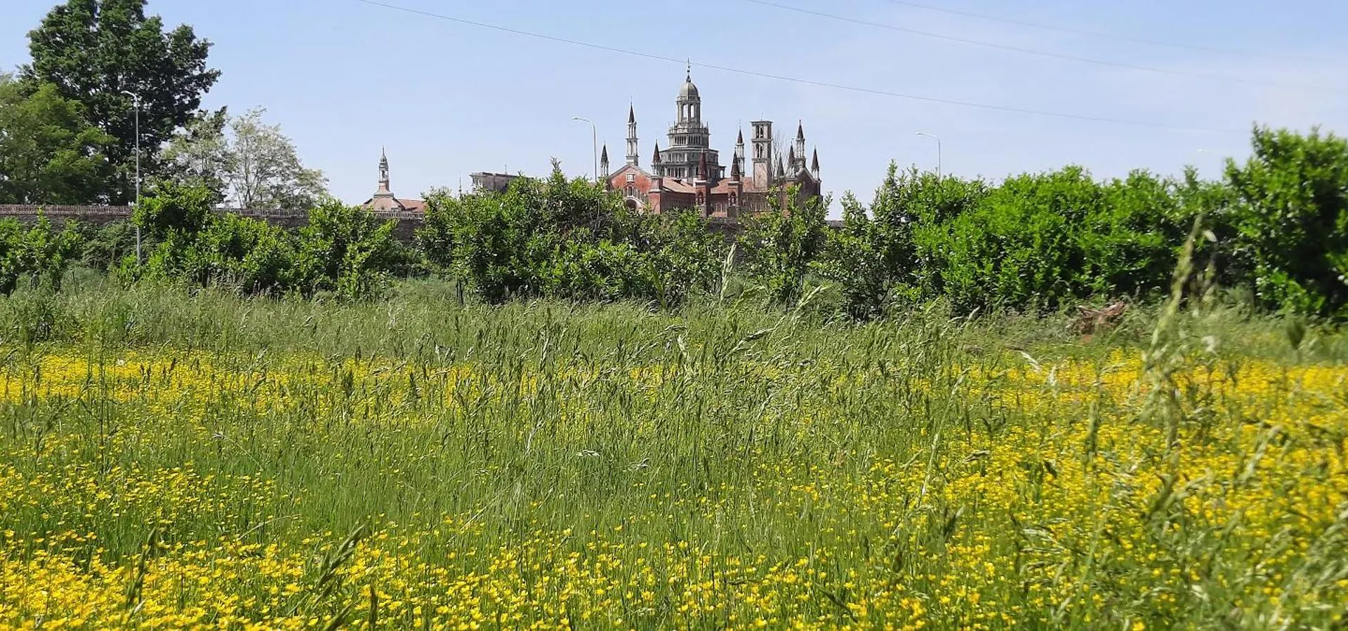 Castello Gar Certosa Διαμέρισμα Certosa di Pavia